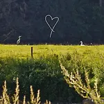 Nyaraló Paulette A Bicyclette Mery