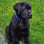 Nyaraló Paulette A Bicyclette *