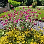 Paulette A Bicyclette Nyaraló Mery