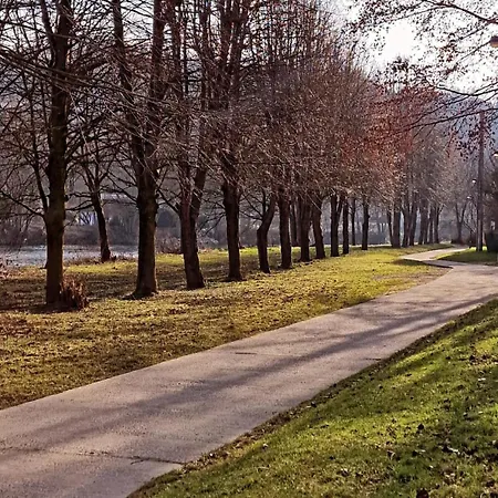 Paulette à Bicyclette