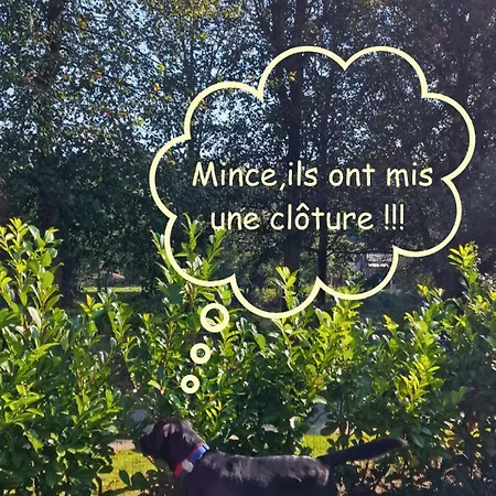 Paulette à Bicyclette