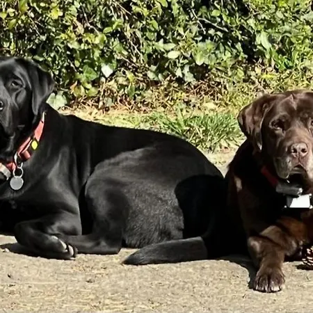 Paulette à Bicyclette *
