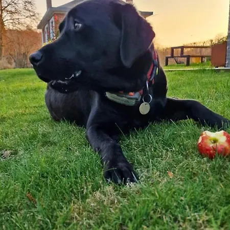 Paulette à Bicyclette Casa de Férias