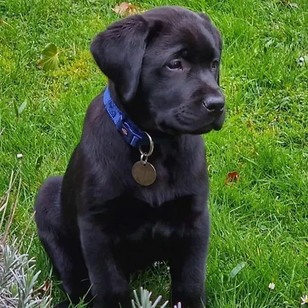 Casa de Férias Paulette à Bicyclette *