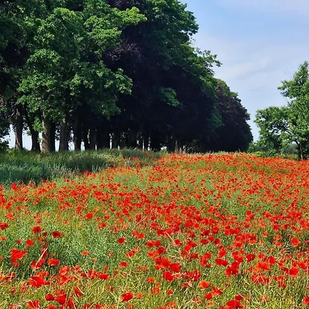 Casa de Férias Paulette à Bicyclette