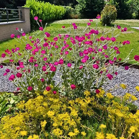 Paulette à Bicyclette Casa de Férias Mery